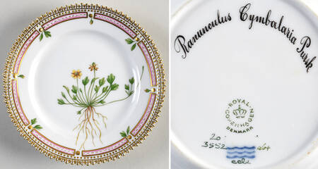 Flora Danica (1961 To Current) Bread & Butter Plate-Ranunculus Cymbalaria Pursk