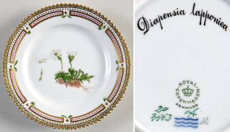 Flora Danica (1961 To Current) Bread & Butter Plate-Diapensia lapponica