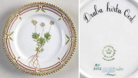 Flora Danica (1961 To Current) Bread & Butter Plate-Draba hirta Oed.