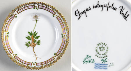 Flora Danica (1961 To Current) Bread & Butter Plate-Dryas integrifolia Vahl