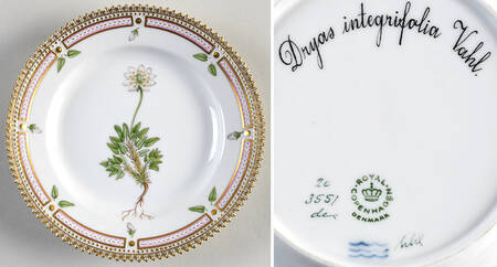 Flora Danica (1961 To Current) Dessert/Pie Plate-Dryas integrifolia Vahl.