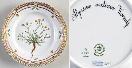 Flora Danica (1961 To Current) Dessert/Pie Plate-Alyssum arcticum Wormskj