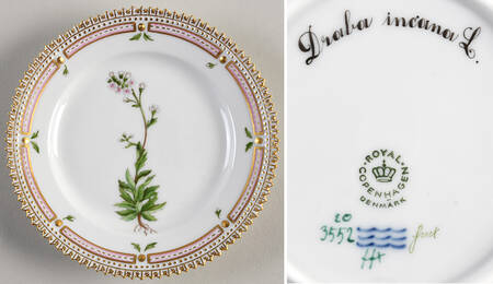 Flora Danica (1961 To Current) Bread & Butter Plate-Draba incana L.
