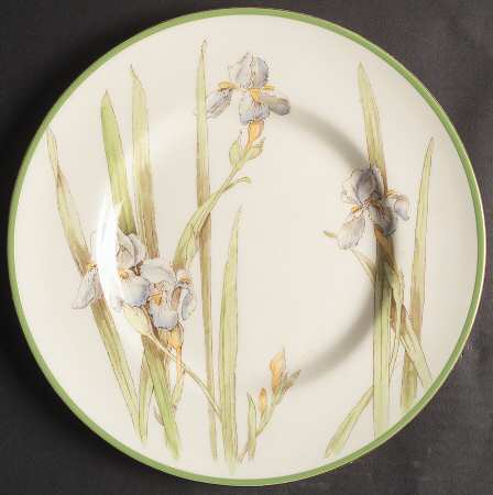 Iris