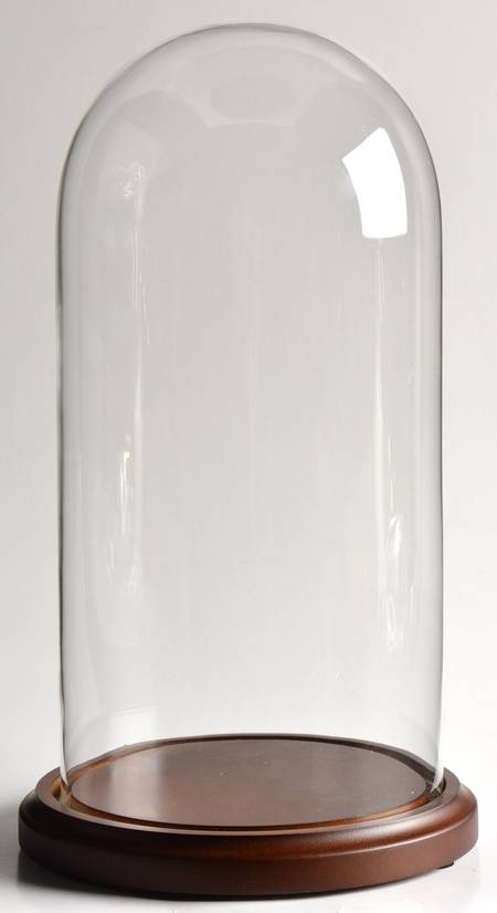 Dinnerware Storage & Cleaning Products Glass Dome With Wooden Base 5.5" X 11"