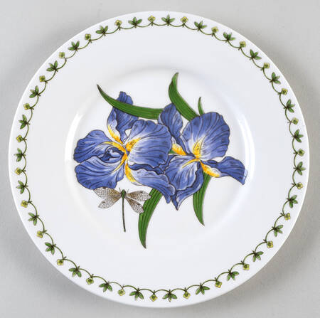 Blue Iris by Rosina-Queens