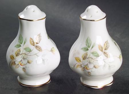 Haworth Salt & Pepper Set