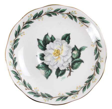 Lady Clare Saucer