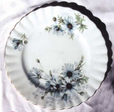 Marguerite (Montrose Shape) Dinner Plate