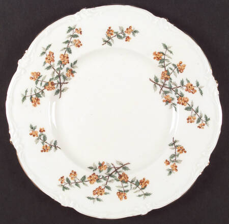 Barberry by Royal Cauldon