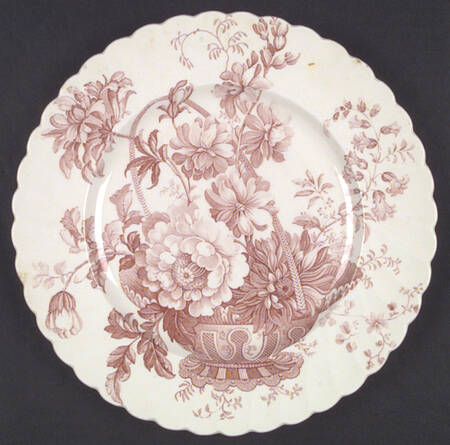 Charlotte Pink (Scalloped) by Royal Staffordshire