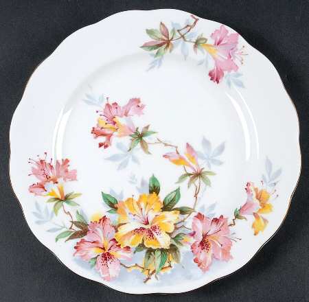 Azalea by Royal Standard