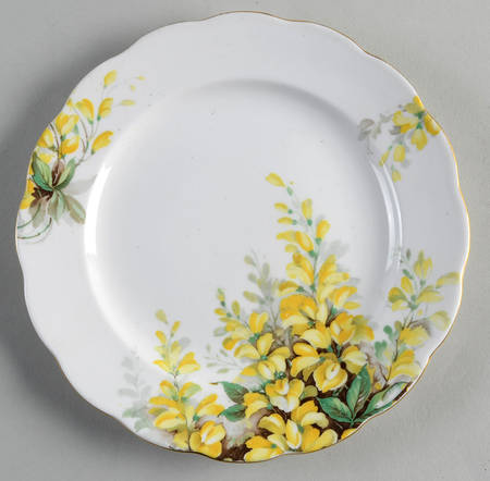 Laburnum by Royal Standard