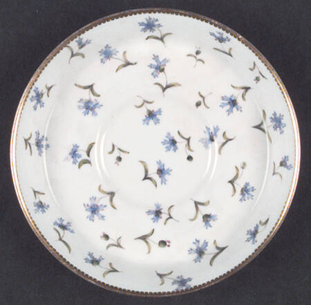 B192 by Royal Worcester