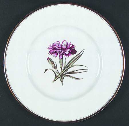 Williamson Flower Dinner Plate