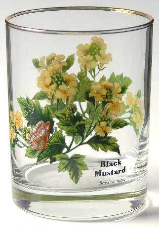 Worcester Herbs (Green Trim) 12 Oz Glassware Double Old Fashioned