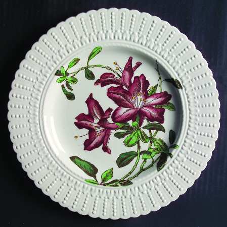 Flower Series by Royal Cauldon