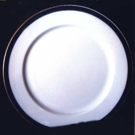 W820 by Royal Worcester