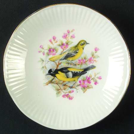 Birds of America by Rosina-Queens