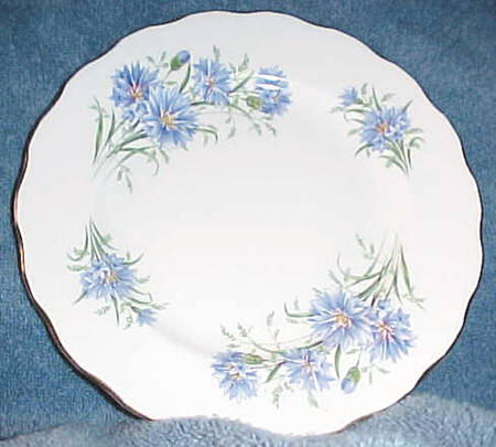 7513 Dinner Plate