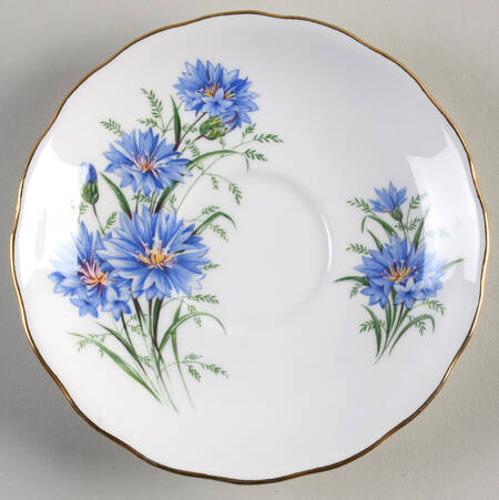 7513 Saucer