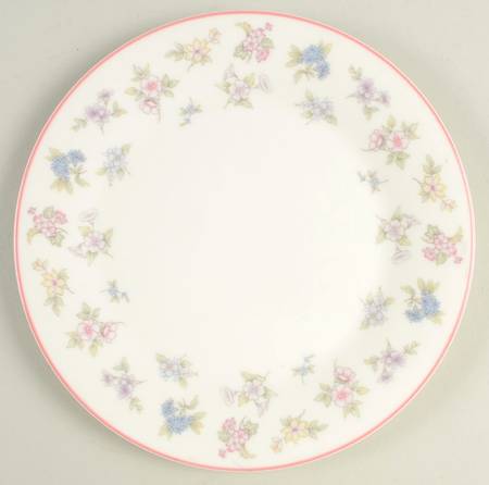 RVA26 Salad Plate