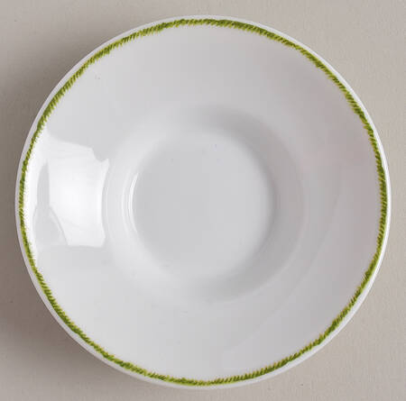 Histoire Naturelle Saucer for Asian Flat Cup