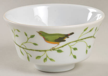 Histoire Naturelle Asian Flat Cup