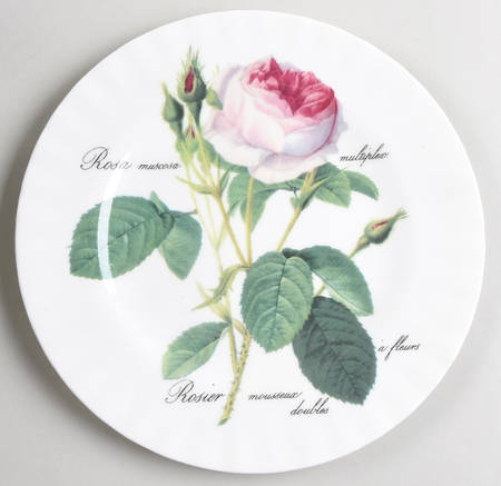 Redoute Roses Salad Plate