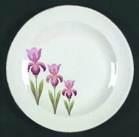 Iris by Royal (USA)