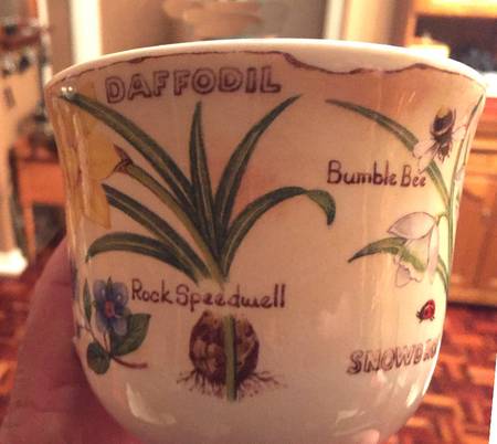 Flora Botanica Breakfast Cup