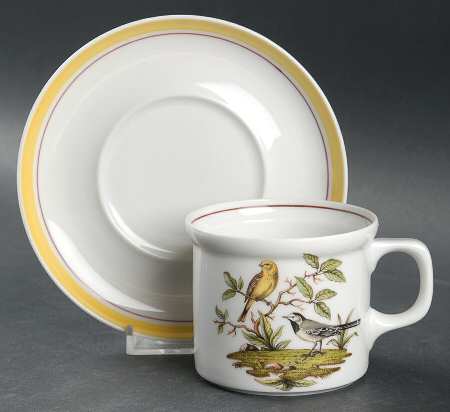 Bayreuth Birds Flat Cup & Saucer Set by Royal Bayreuth