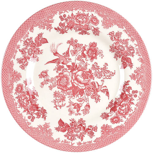 Asiatic Pheasant Red Salad Plate by Royal Stafford