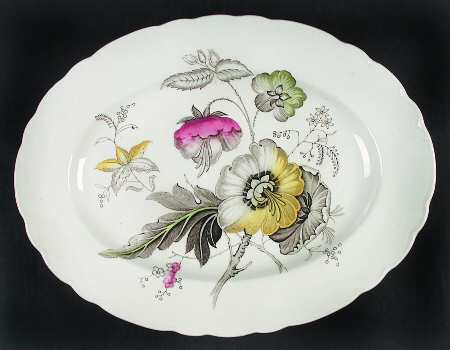 Georgian Spray (Scalloped) by Royal Staffordshire