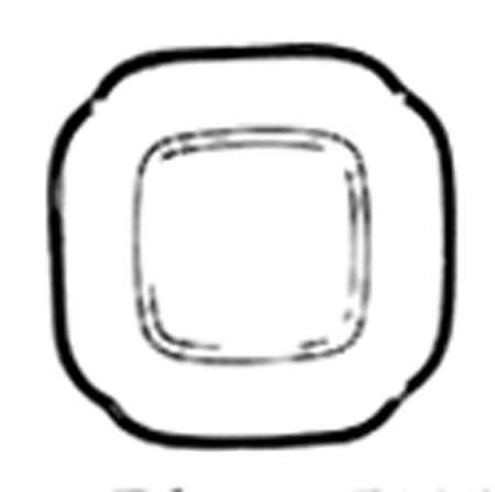 SP8 Square Salad Plate by Spode