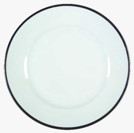 1473 (Aida, White, Platinum Trim) by Rosenthal - Continental