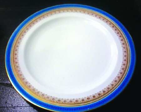 RW151 by Royal Worcester