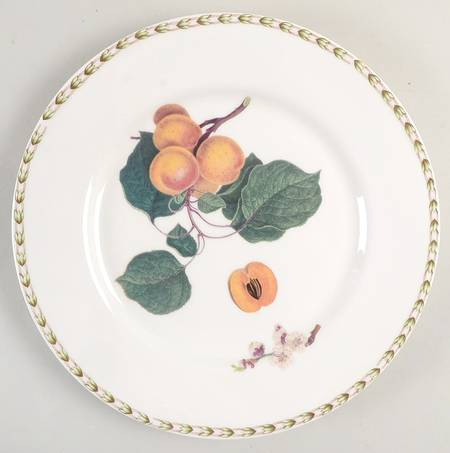 Hooker's Fruit (Fine China, Not Made in England) by Rosina-Queens