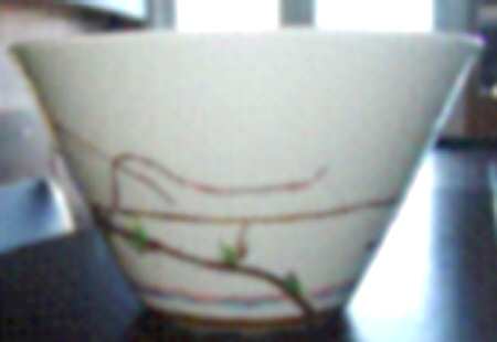 Nature Celadon 10" Large Salad Serving Bowl