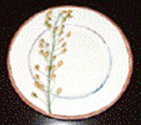 Nature Celadon Salad Plate