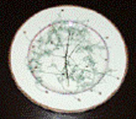 Nature Celadon Dessert Luncheon Plate