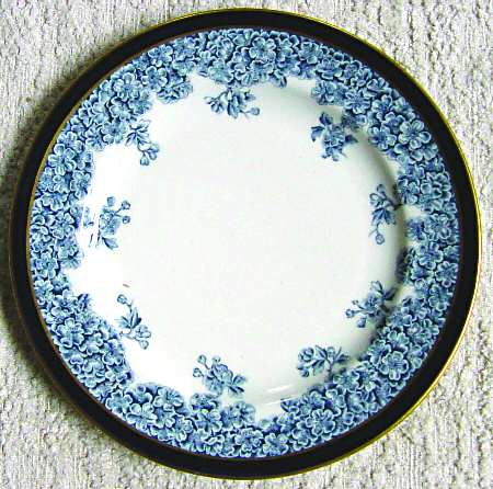 W2493 by Royal Worcester