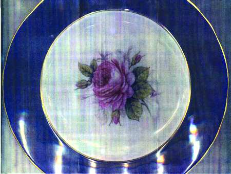 RW178 by Royal Worcester