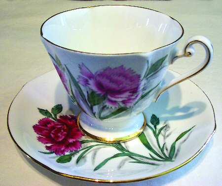 Carnation by Roslyn (England)