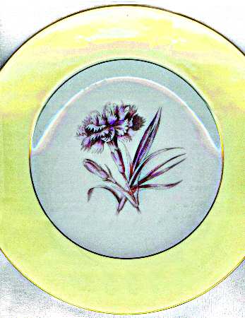 Z2091 by Royal Worcester