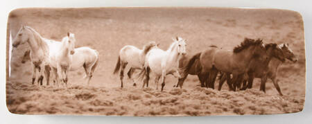 Unbranded Rectangular Tray