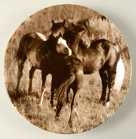 Unbranded Salad Plate