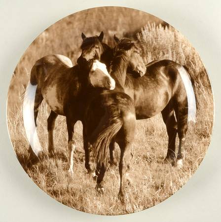 Unbranded Dinner Plate