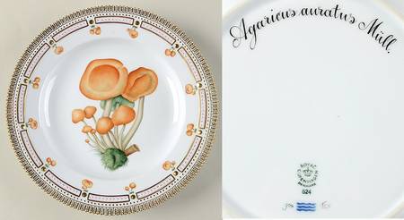 Flora Danica Fungi Collection Dinner Plate-Orchis sambucina L