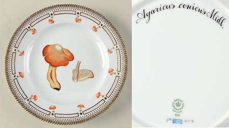 Flora Danica Fungi Collection Dinner Plate